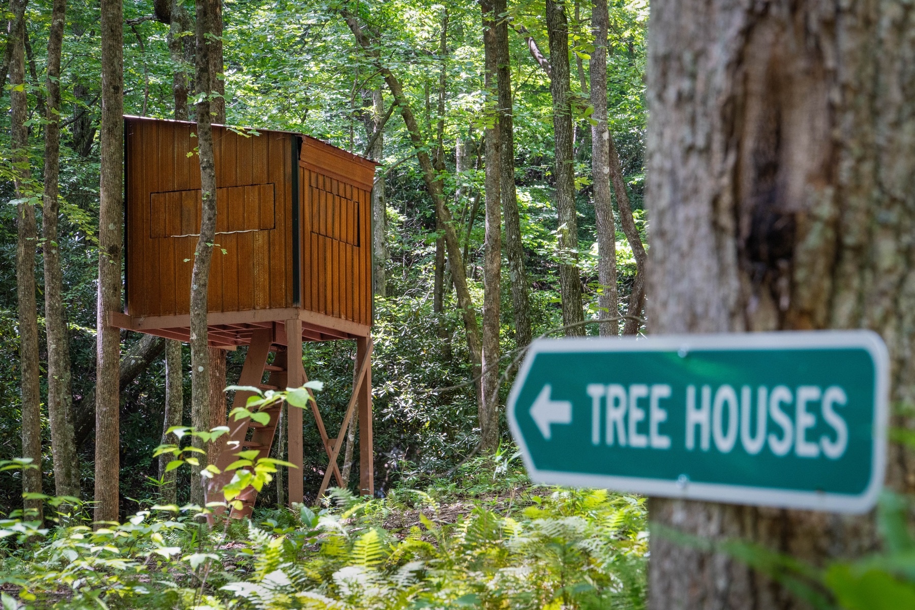 Exterior & Acreage — photo 25