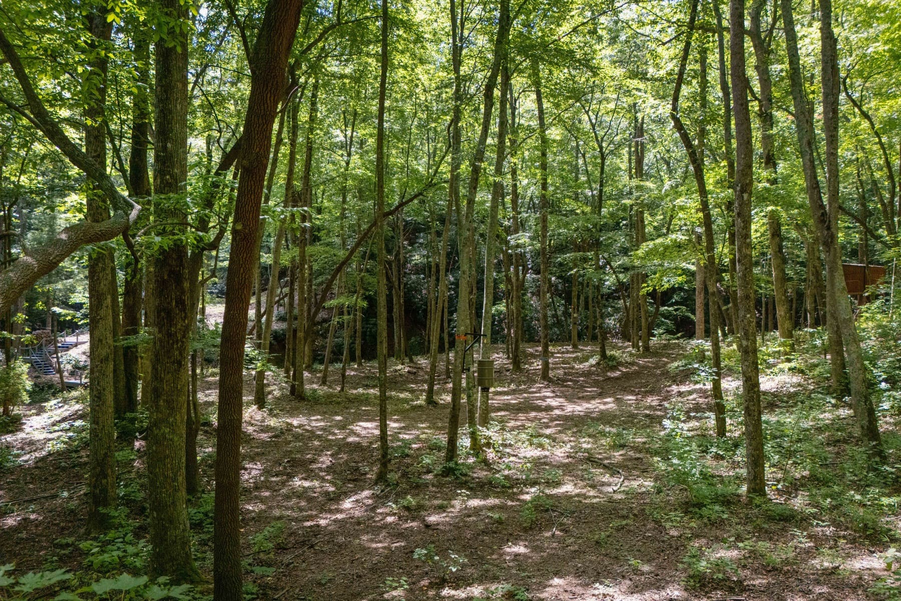 Exterior & Acreage — photo 27