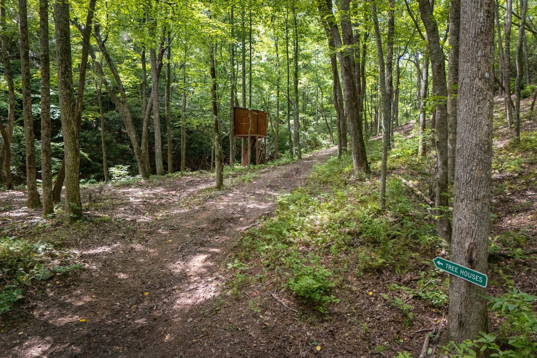 Exterior & Acreage — photo 29